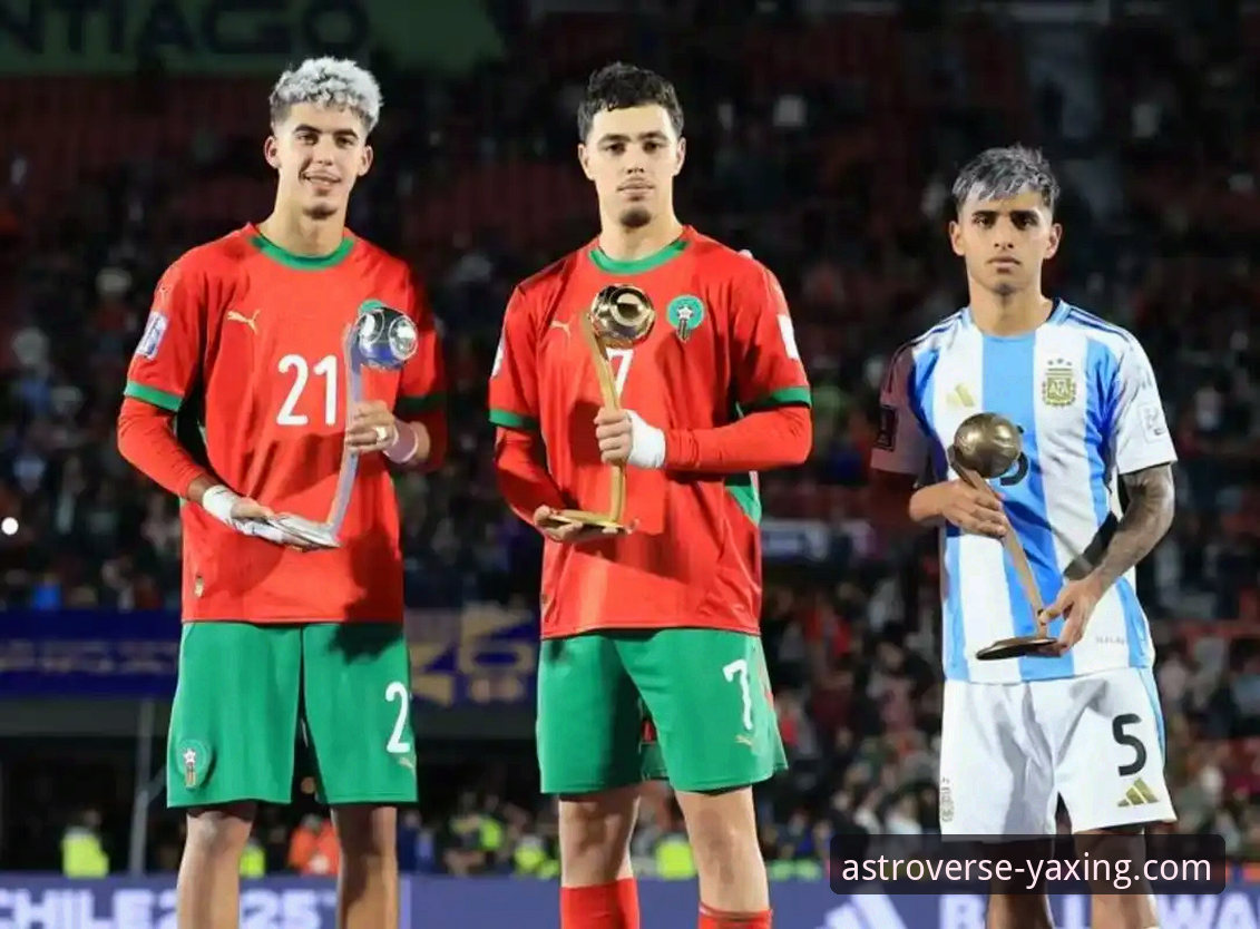 亚星游戏官网 阿根廷世界杯前折损锋线新星,战术拼图缺失引关注